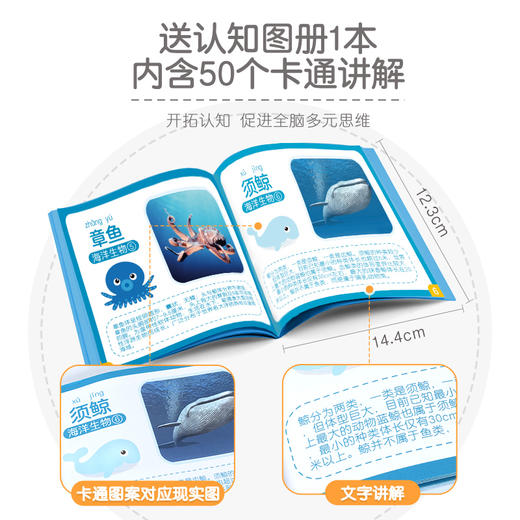 2021年积分兑换礼品 14900分（仅限积分兑换）不包邮，系统独立，不能与其他订单合并运费。 商品图4