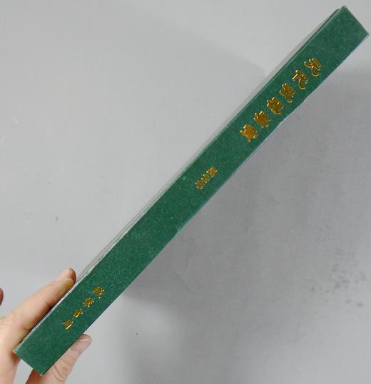 《元代瓷器鉴赏》全一册 商品图13