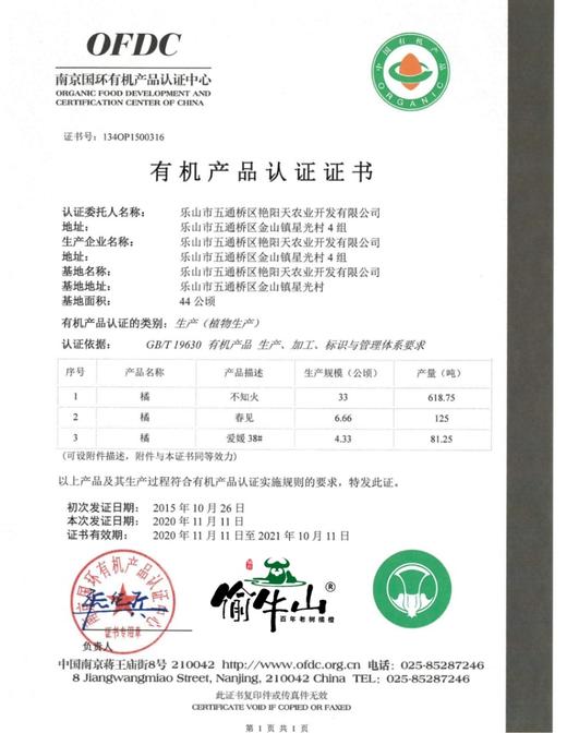 春见粑粑柑 6斤左右 商品图6