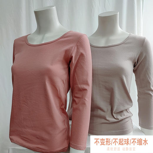 16895女式大圆领八分袖全棉弹力打底上衣（特价二枚组） 商品图0