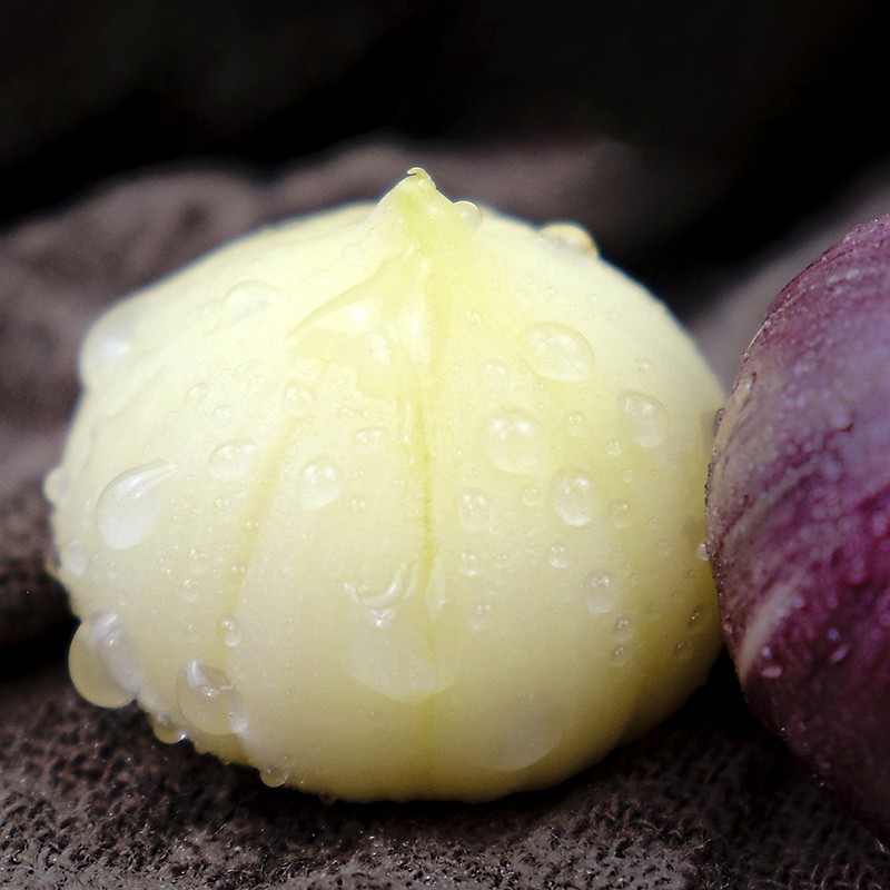 【早春当季鲜蒜】云南独头紫皮蒜   2/5斤装   精品大果