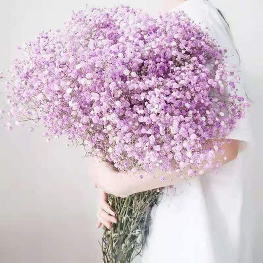 （东莞）满天星（一扎） 商品图1