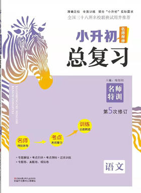 小升初总复习 语文