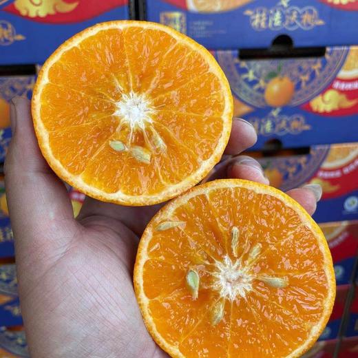 甜弯弯沃柑「10斤」