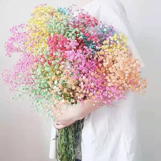 （东莞）满天星（一扎） 商品图2