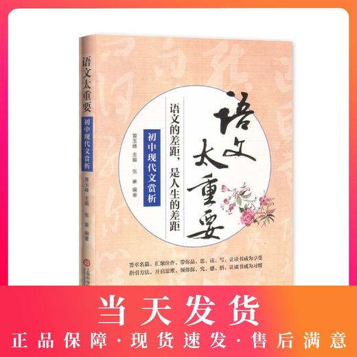 初中现代文赏析 语文的差距,是人生的差距 语文太重要 商品图0