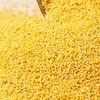 黄金小米(500g) 小米 朝阳小米 安营杂寨 沈阳农业大学小米 商品缩略图2