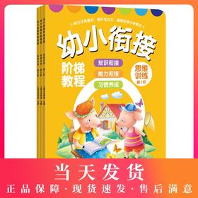 幼小衔接思维训练 幼小衔接阶梯教程 儿童全脑思维游戏大班升一年级启蒙早教教材全套3册2-3-4-5-6-7岁宝宝 数学逻辑思维训练书籍