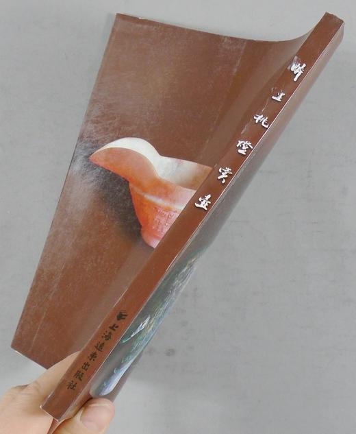 《醉里挑灯赏壶》全一册 商品图13