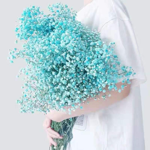 （东莞）满天星（一扎） 商品图0