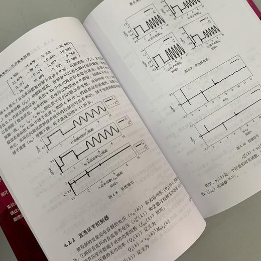 双馈感应发电机 风力发电控制 商品图6