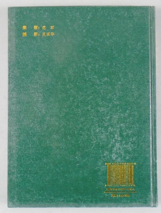 《元代瓷器鉴赏》全一册 商品图12