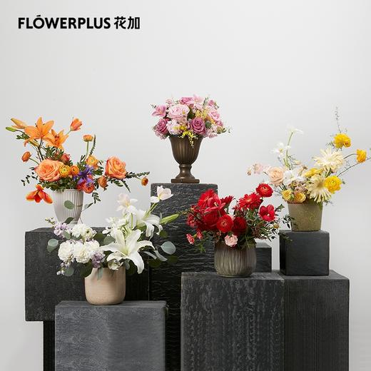 （东莞）333周花 商品图0