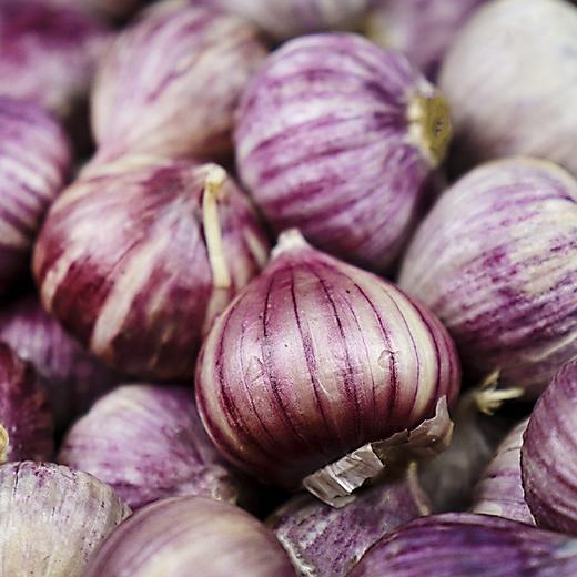 云南独头紫皮蒜   2斤装   （25个左右）精品果 商品图2