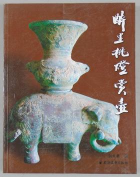 《醉里挑灯赏壶》全一册