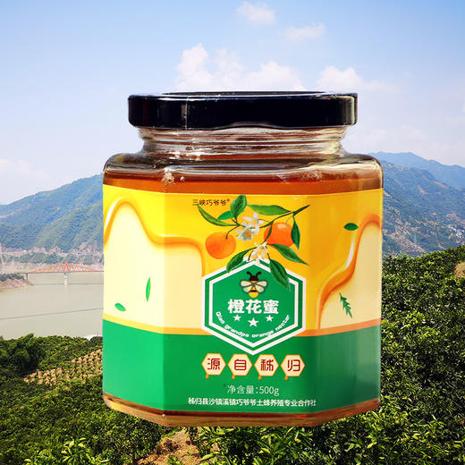 【秭归】秭归县三峡巧爷爷橙花蜜 500g/罐 商品图0