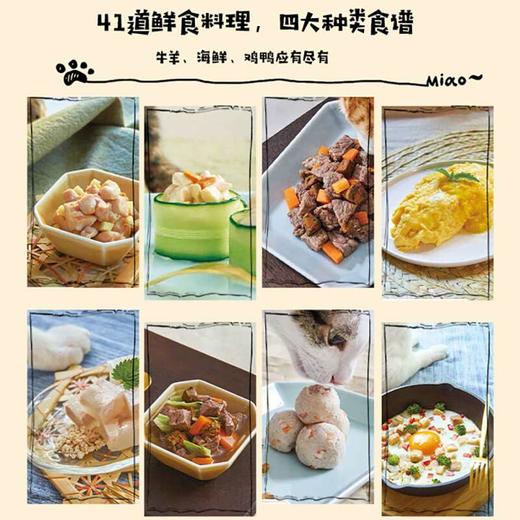 新书预售 猫咪的幸福吃出来 猫食谱猫咪喂养猫咪健康生活宠物饮食 猫咪营养食谱搭配自制猫粮 商品图3