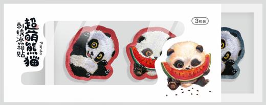 3枚盒装刺绣冰箱贴 商品图1