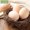 【宜昌助农馆】农家土鸡蛋 30枚 破损包赔 商品缩略图1