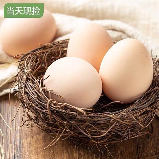 【宜昌助农馆】农家土鸡蛋 30枚 破损包赔 商品图1