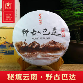 秘景云南古树普洱生茶（野古巴达）