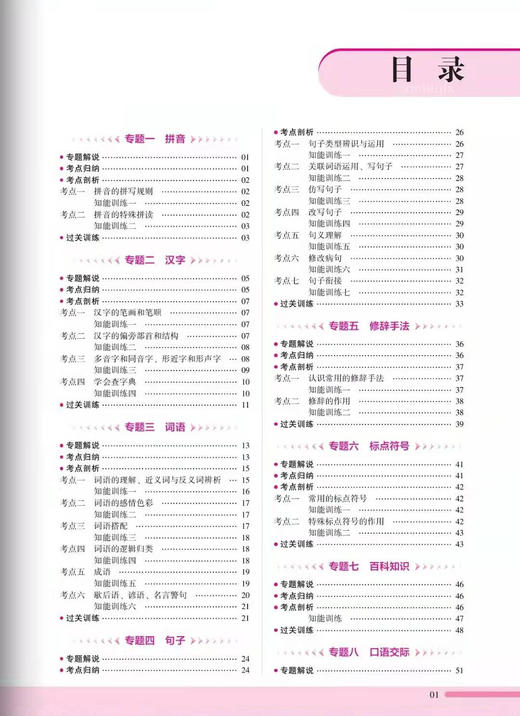 小升初总复习 语文 商品图1