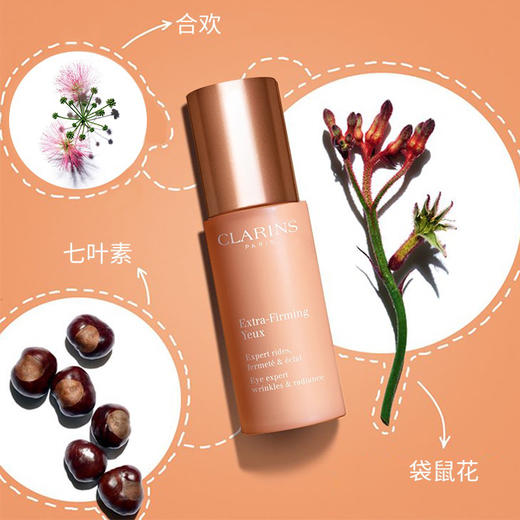 娇韵诗全明星眼霜15ml 商品图8