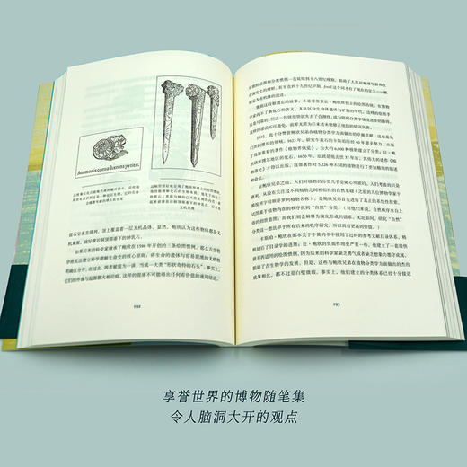 彼岸——博物学家古尔德生命观念文集的末卷 商品图5