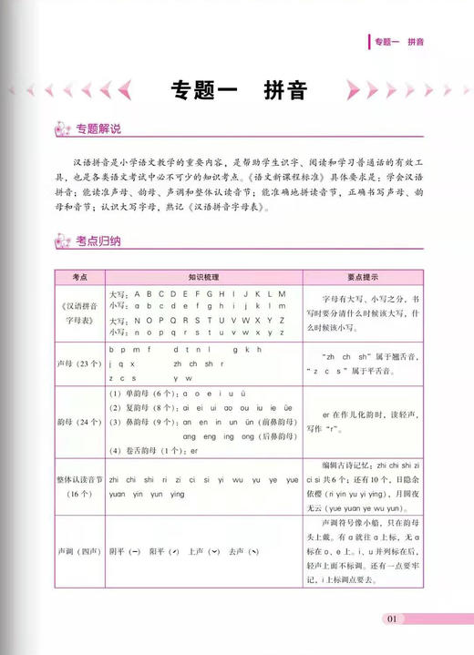 小升初总复习 语文 商品图2