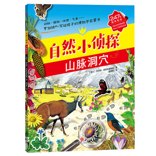 自然小侦探（全4册） 商品图4
