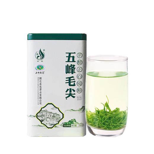 【宜昌助农馆】采花五峰毛尖绿茶 罐装 250g 商品图4