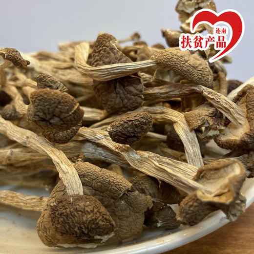 广东连南瑶乡茶树菇干100g 商品图0