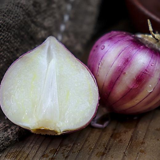 云南独头紫皮蒜   2斤装   （25个左右）精品果 商品图1