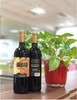 2瓶红酒+3小盒蓝莓 商品缩略图0