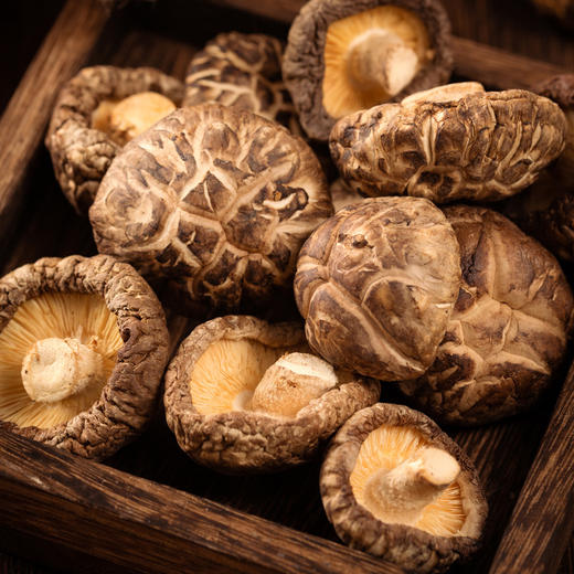 【宜昌助农馆】 远安香菇大礼包620g  香菇+木耳+茶树菇 商品图1