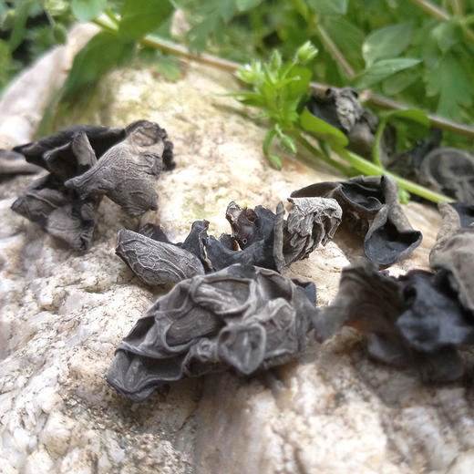 【宜昌助农馆】秭归县高山黑木耳礼盒装  250g 商品图2