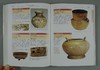 《中国瓷器定级图典》全一册 商品缩略图9