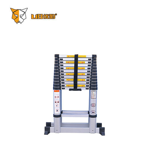 竹节人字升降梯 商品图2