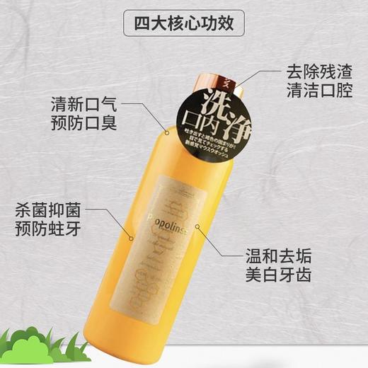 日本 Propolinse比那氏 蜂胶漱口水 600ml 商品图6