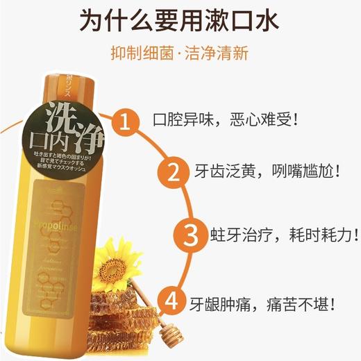 日本 Propolinse比那氏 蜂胶漱口水 600ml 商品图3