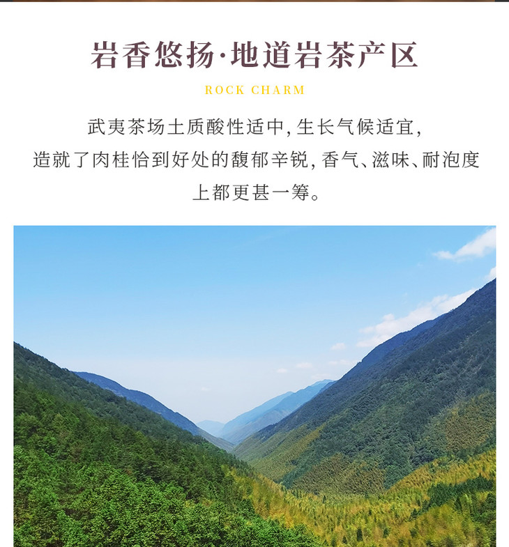 岩语山涧肉桂武夷岩茶特级乌龙茶轻火茶叶罐装56g