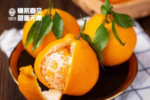 蜜露完熟爆浆春见 商品图5