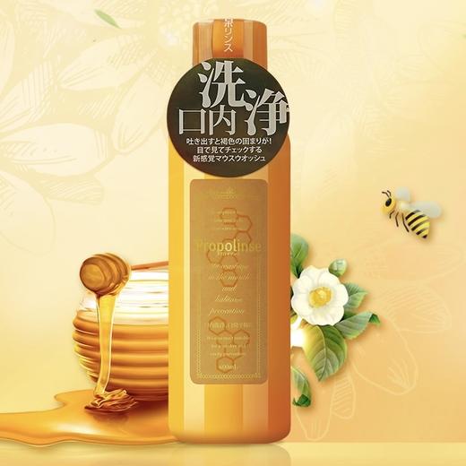日本 Propolinse比那氏 蜂胶漱口水 600ml 商品图1
