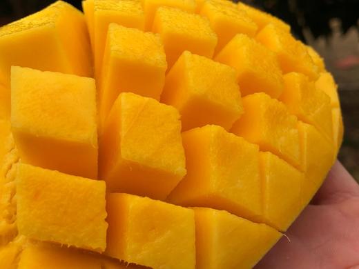 即食海南金煌芒    甜度高，肉质紧 顺丰包邮 商品图1