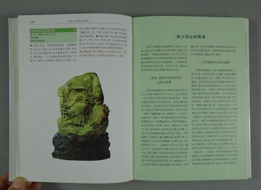 《中国玉器定级图典》全一册 商品图8