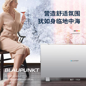 【蓝宝】德国蓝宝加湿取暖器家用节能对流式电热暖风机客厅速热H12【蓝宝】