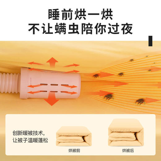 【蓝宝】蓝宝暖被机衣服被子烘干机家用小型床上除螨烘被机N1【蓝宝】 商品图3