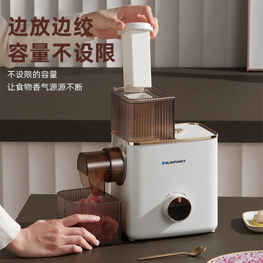 【蓝宝】德国蓝宝绞肉机绞馅家用电动小型多功能打肉馅碎肉绞菜搅拌料理机【蓝宝】 商品图1