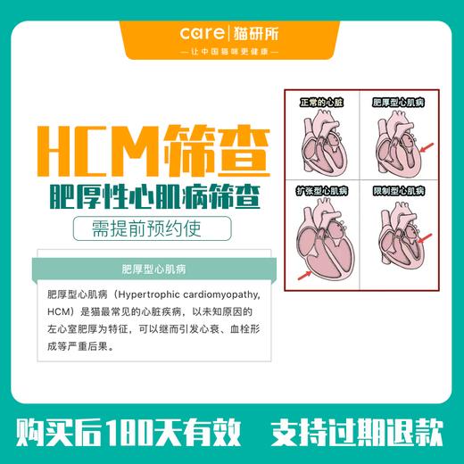 猫研所体检  猫咪专用HCM肥厚性心肌病心超筛查体检 B超筛查 需要提前预约使用 商品图1