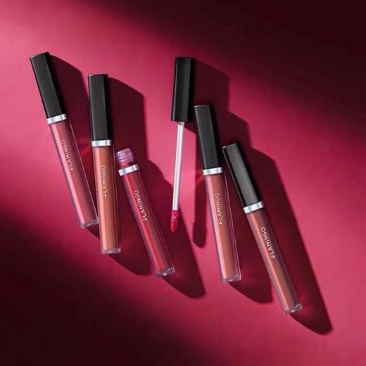 【火烈鸟不专情唇釉套盒】哑光雾面唇釉持久不沾杯显白红棕番茄脏橘 商品图4